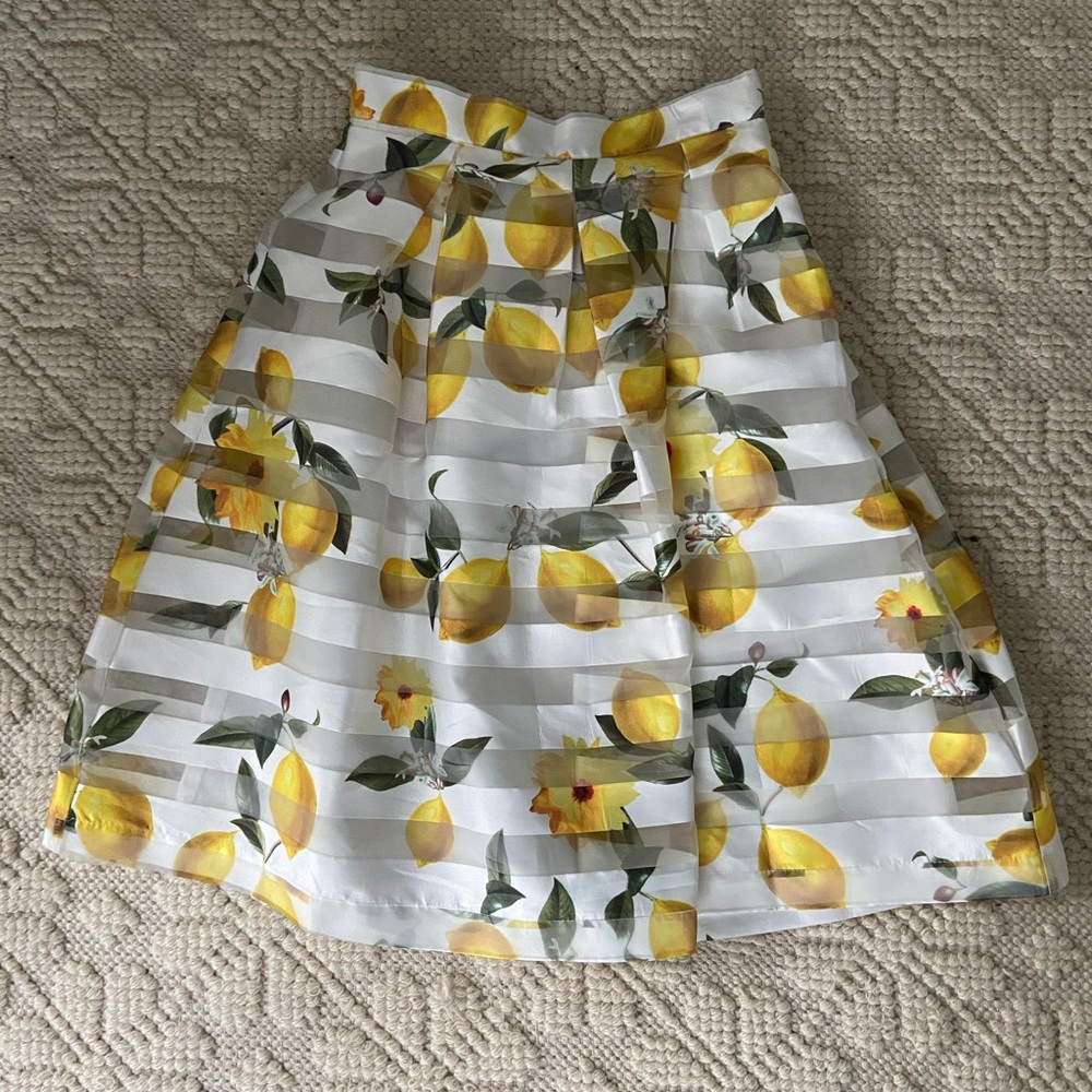 NWT Moon Collection Piper Stripe Lemon Skirt